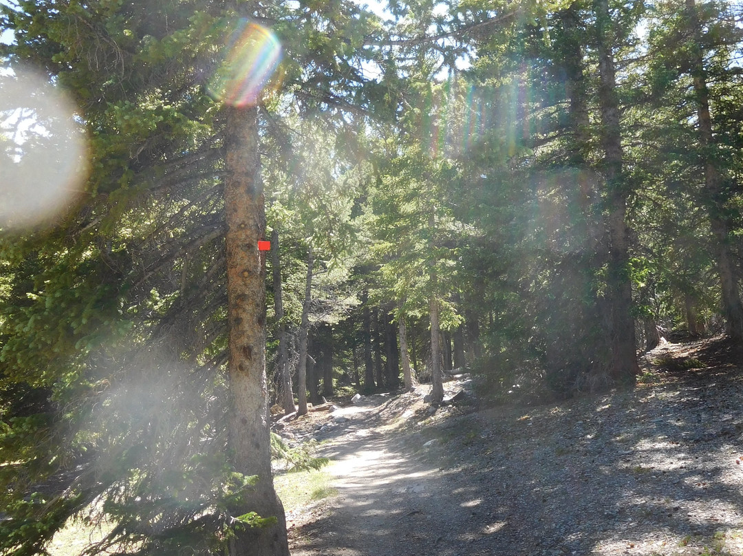 Alpine Lakes Loop-Great Basin National Park必去景点
