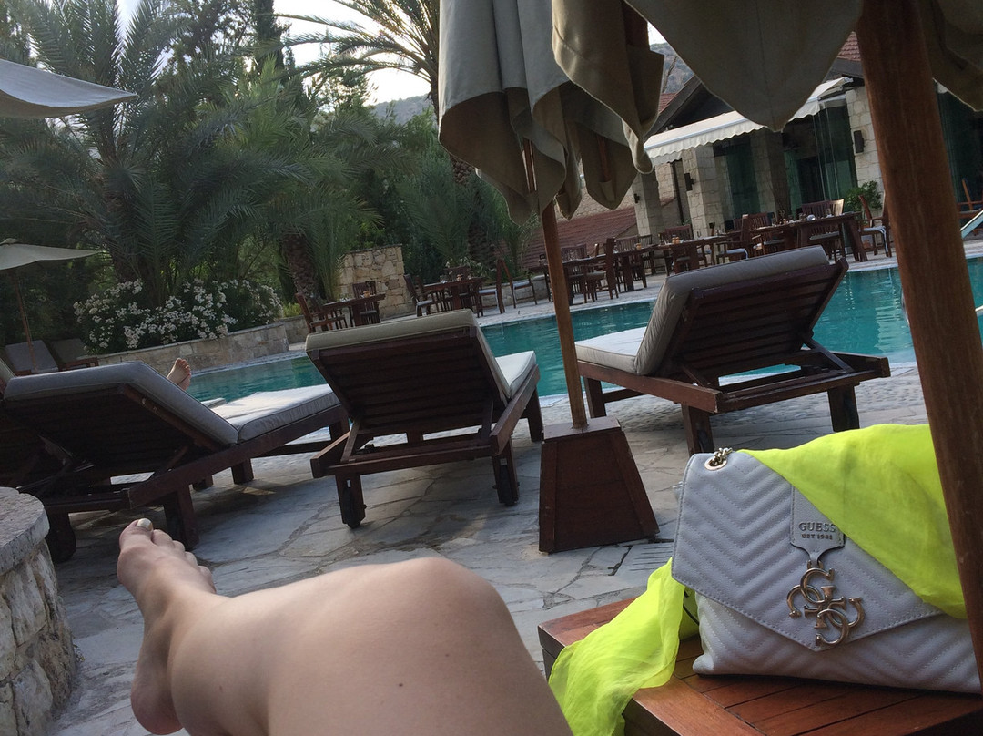 Ayii Anargyri Natural Healing Spa Resort主图