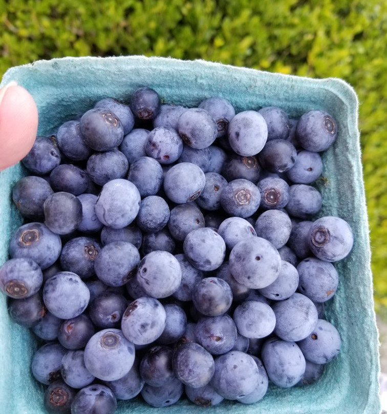 College Run Farms-Surry必去景点