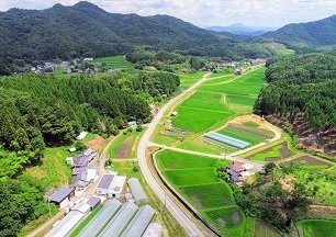 Tanabe Farm景点图片