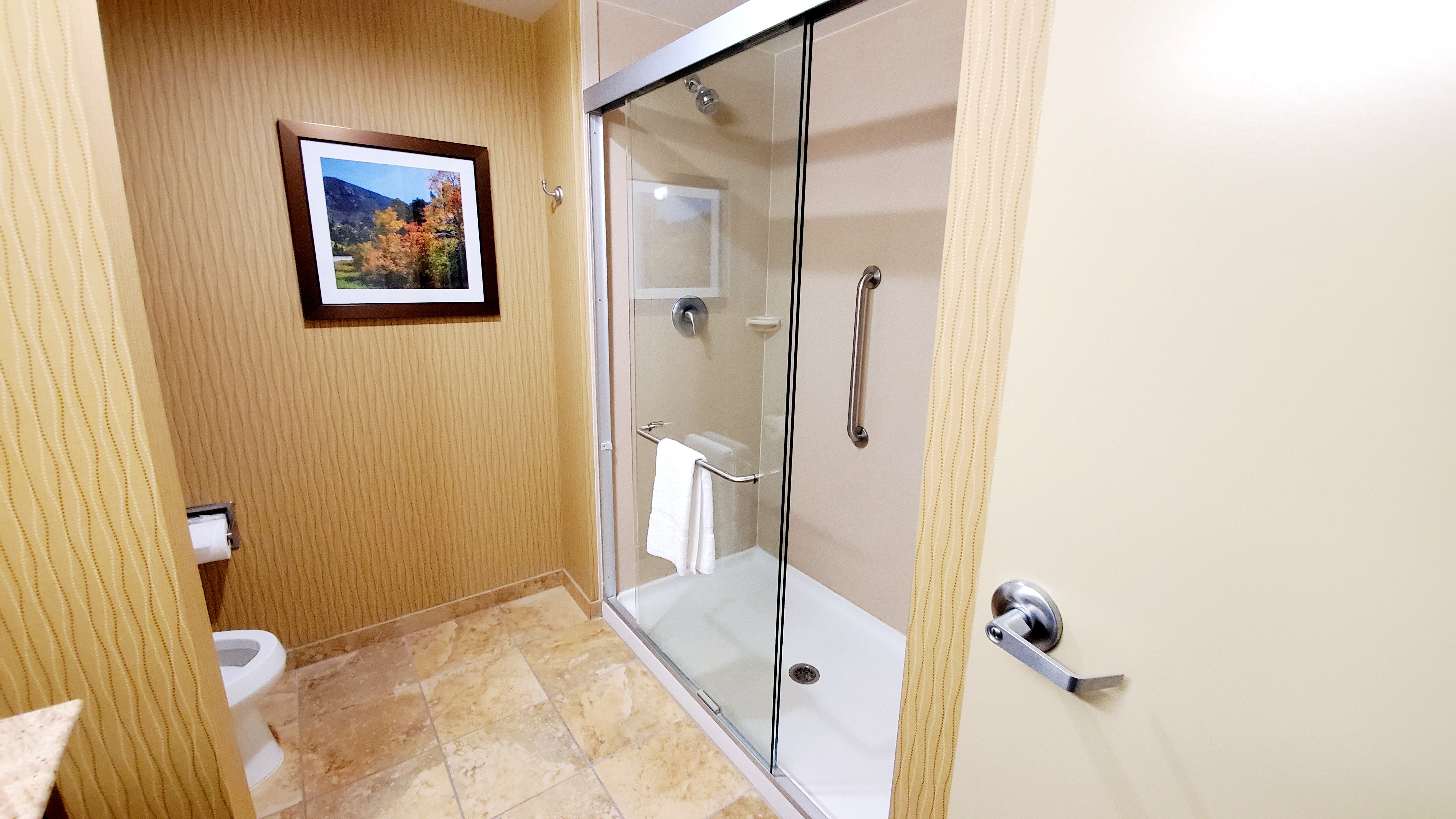 Hampton Inn & Suites Denver/South-RidgeGate-浴室