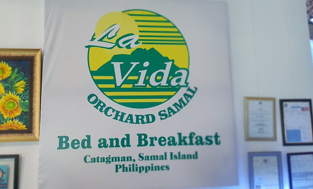 La Vida Hostel主图