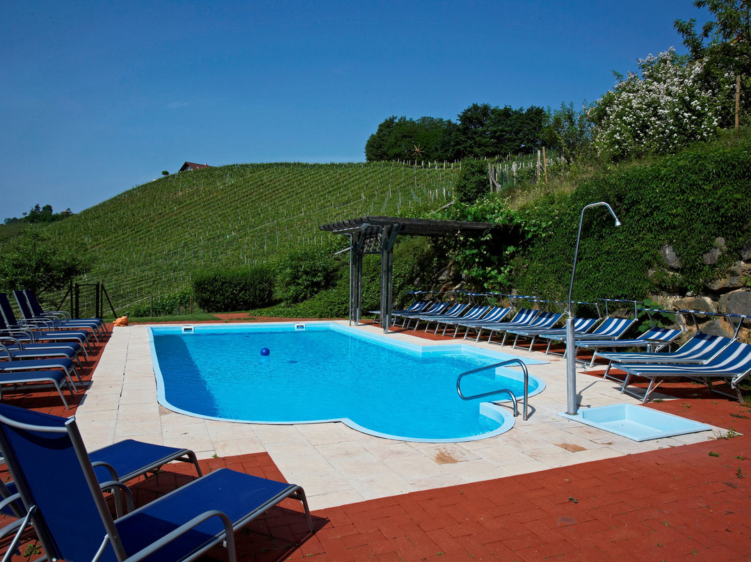 Weingut Sattlerhof主图