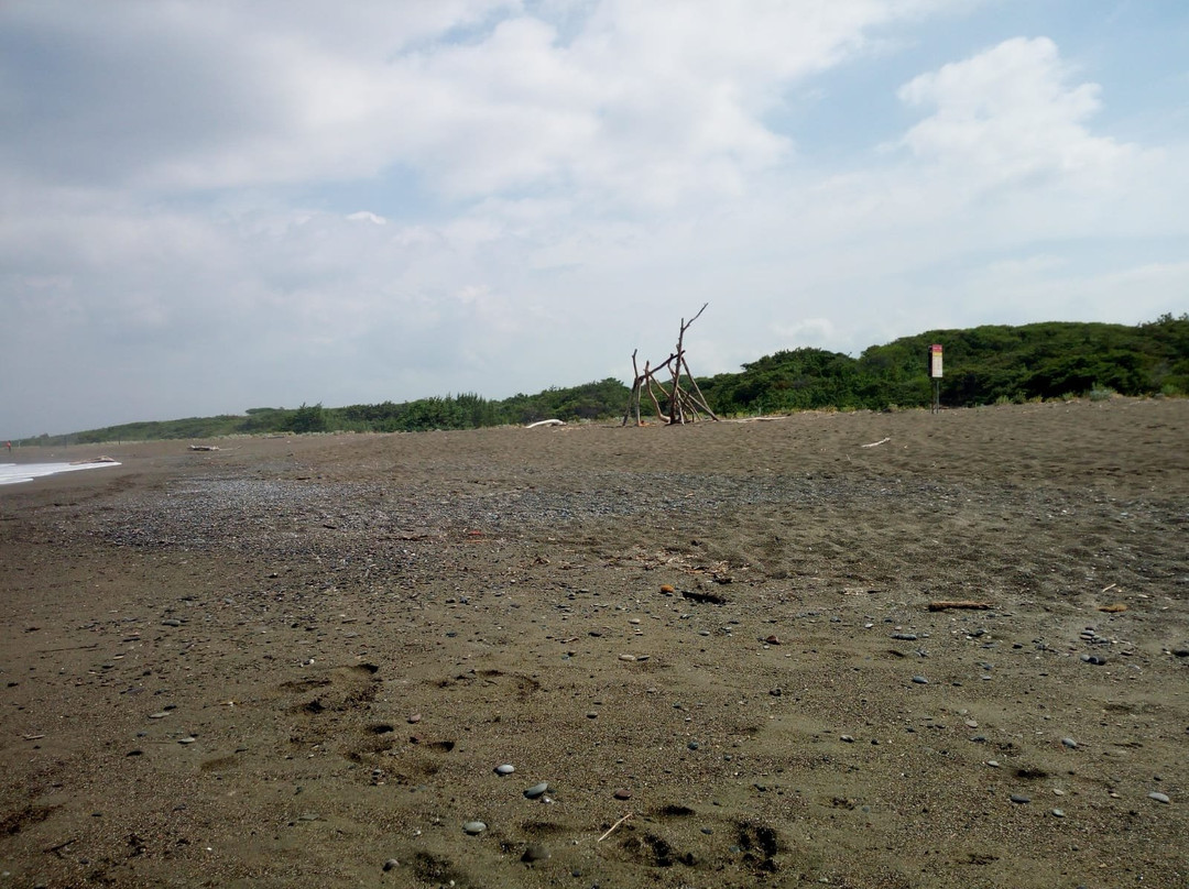 Spiaggia del Seggio-Marina di Castagneto Carducci必去景点