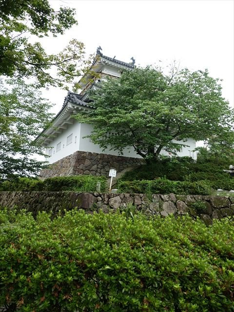 Kitsuki Castle景点图片
