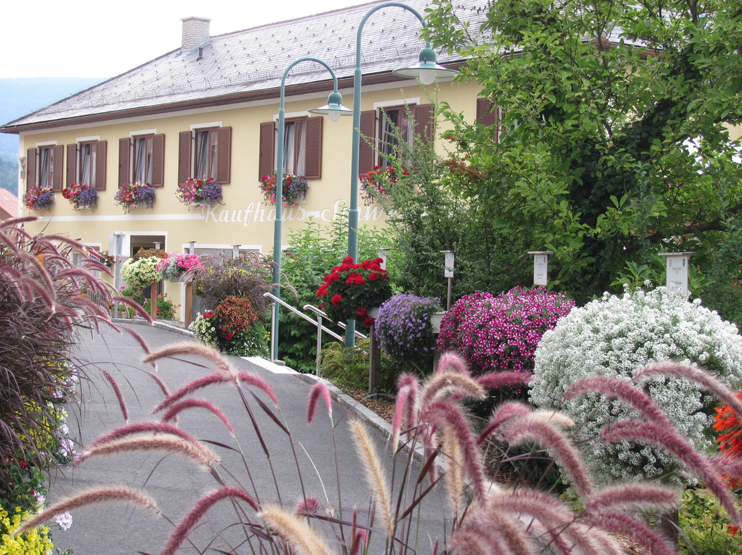 Pension Schweighofer - Derler