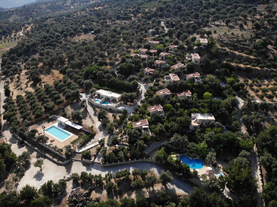 埃里昂纳斯酒店主图