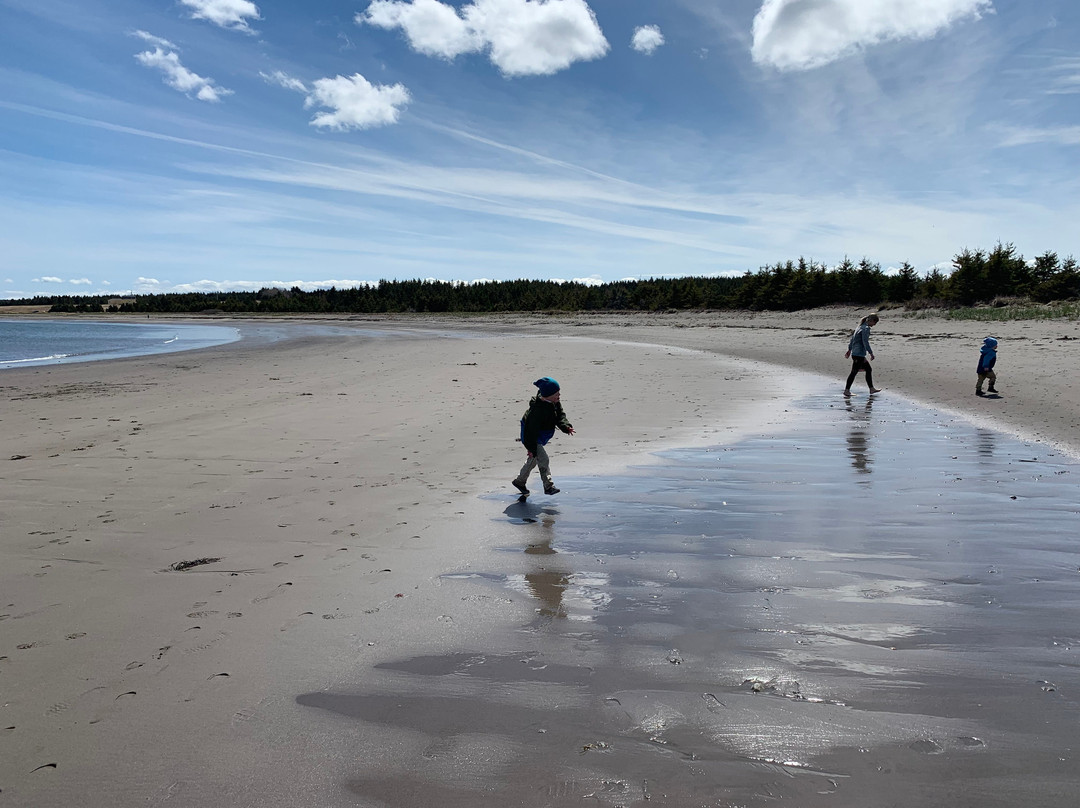 Pondville Beach Provincial Park-Arichat必去景点