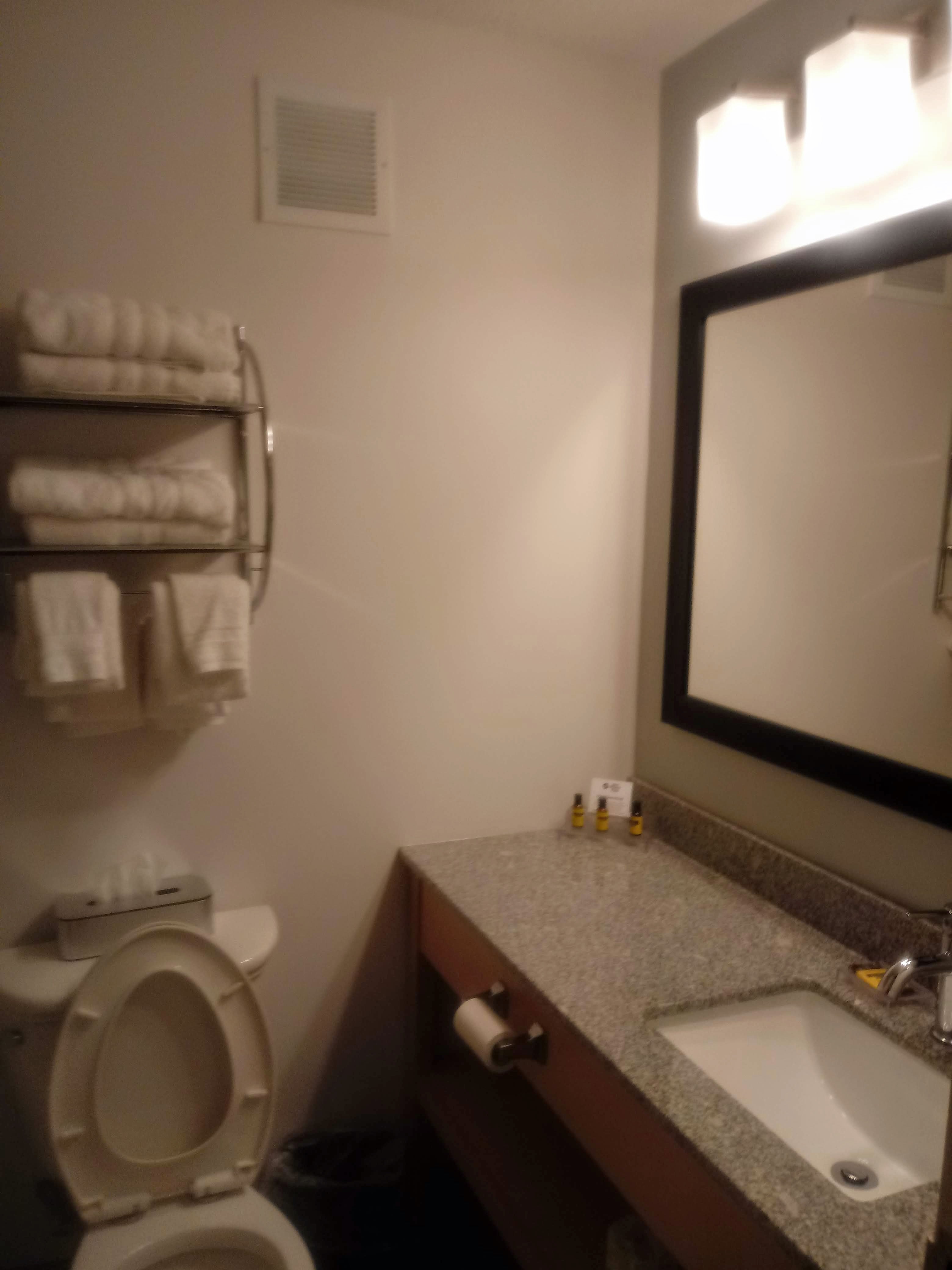 Best Western Plus University Inn-浴室