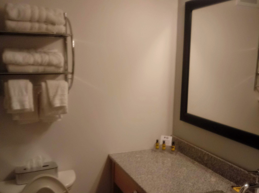 Best Western Plus University Inn主图