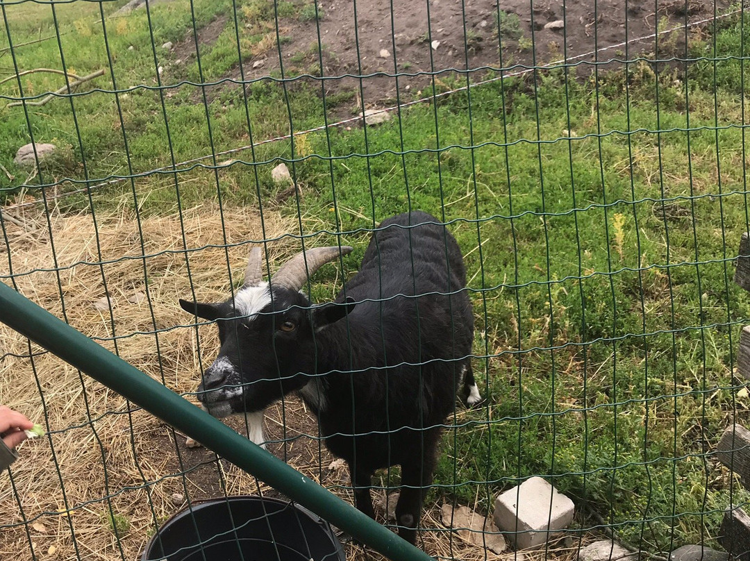 Uue-Kuristu OÜ-Aasmae必去景点