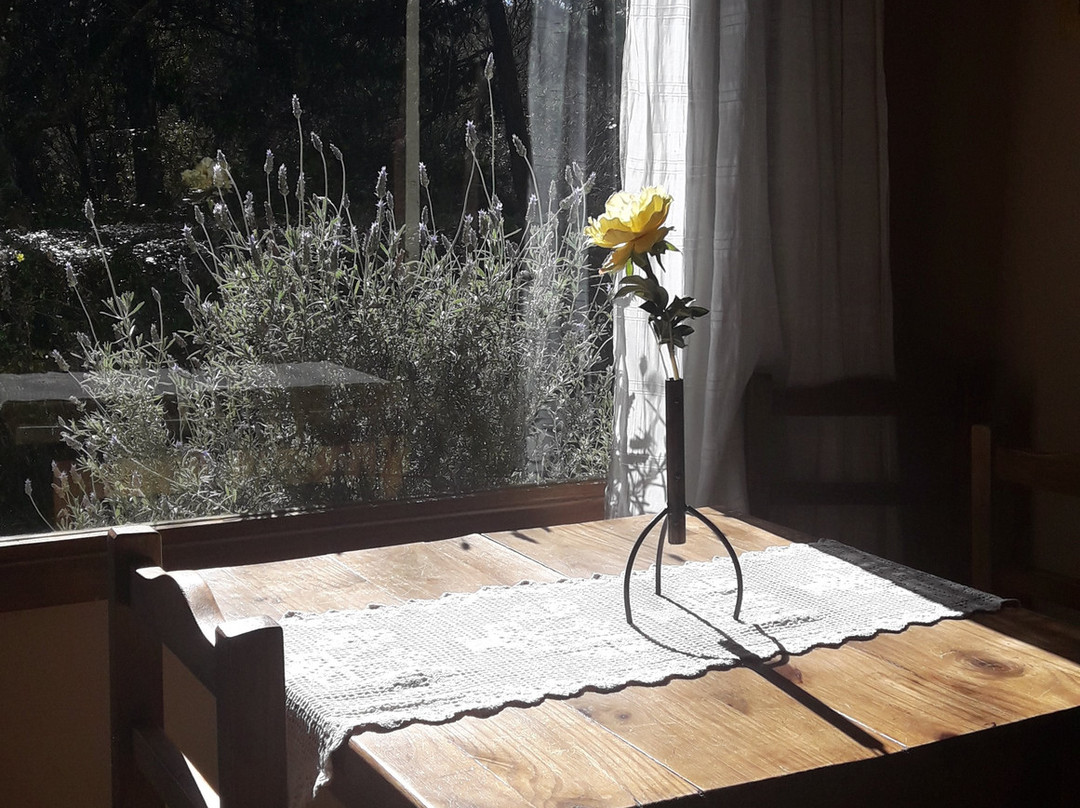 Posada La Lucia主图