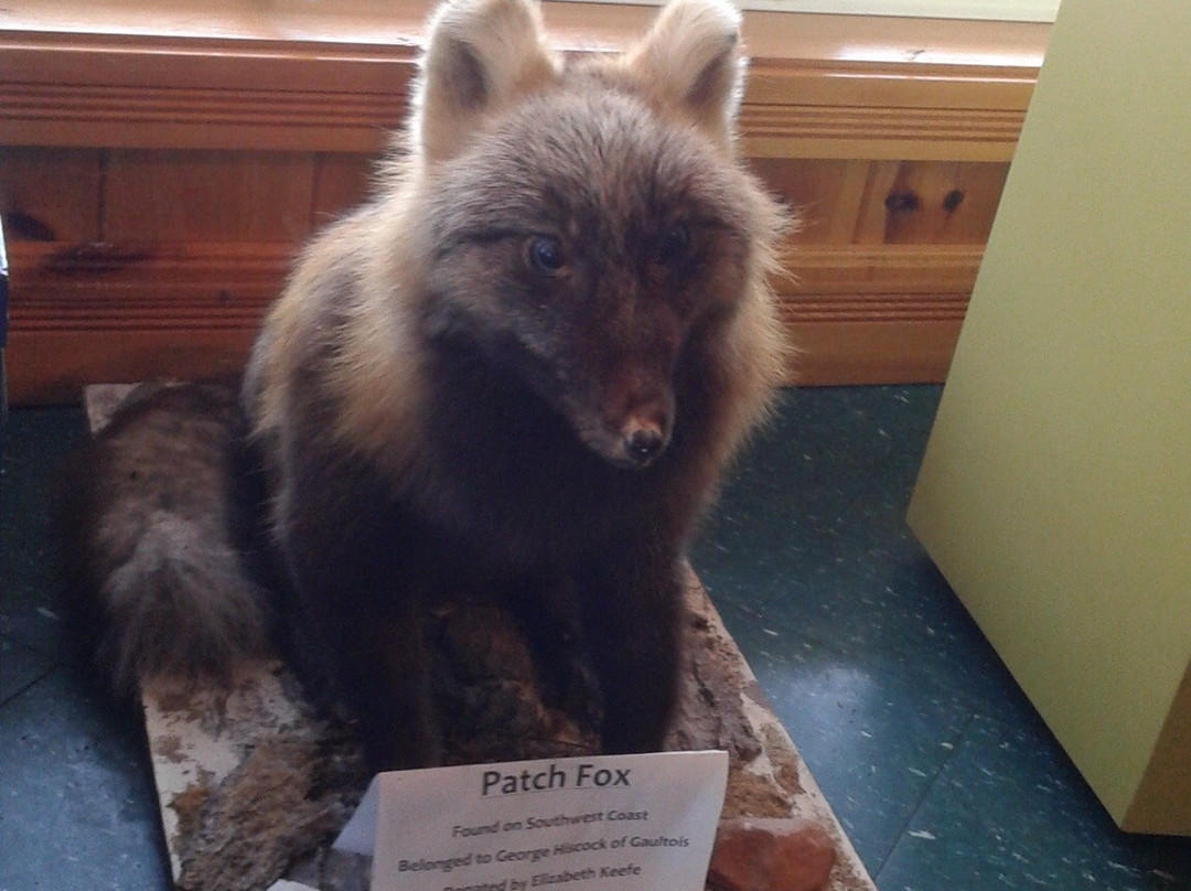 Carmanville Wetlands Interpretation Centre and Nature Trail-Carmanville必去景点