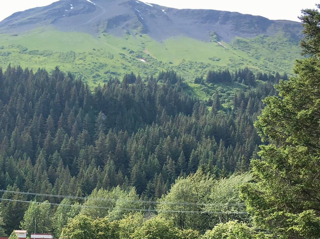 海港美景旅馆主图