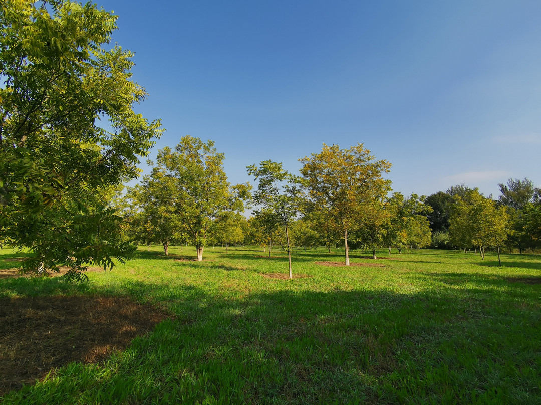 Van Gaalen Kaasmakerij-Madibeng必去景点
