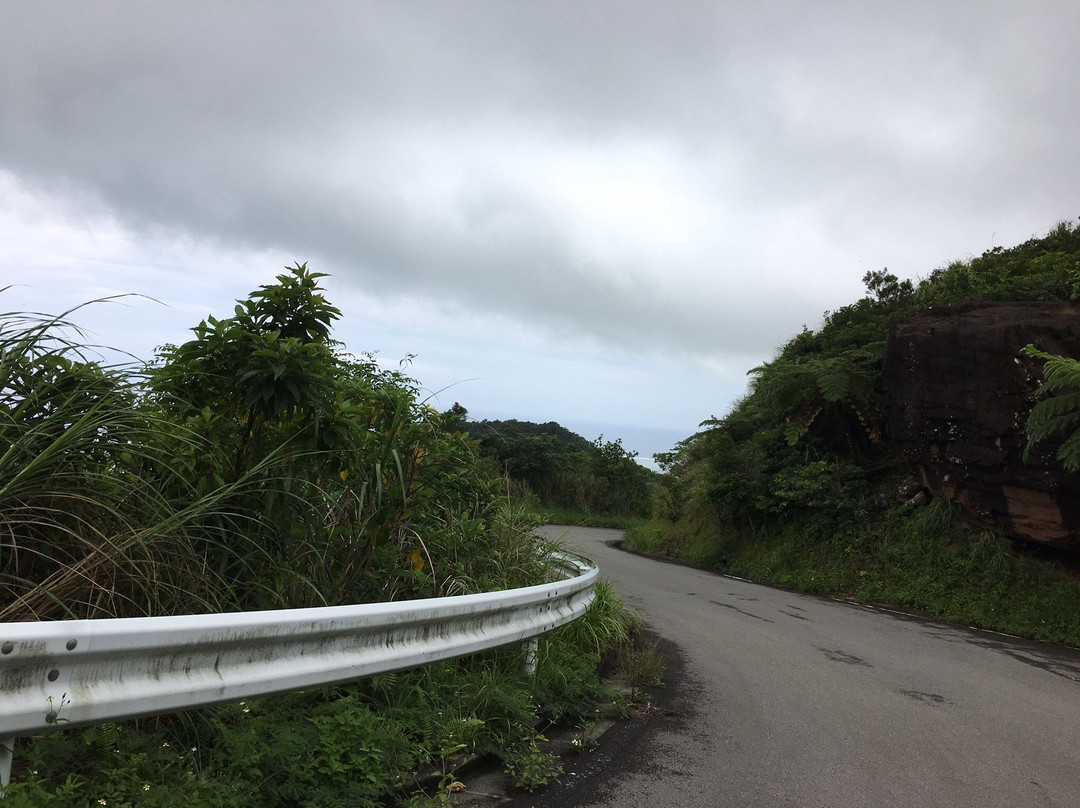 Nosoko Forest Road景点图片