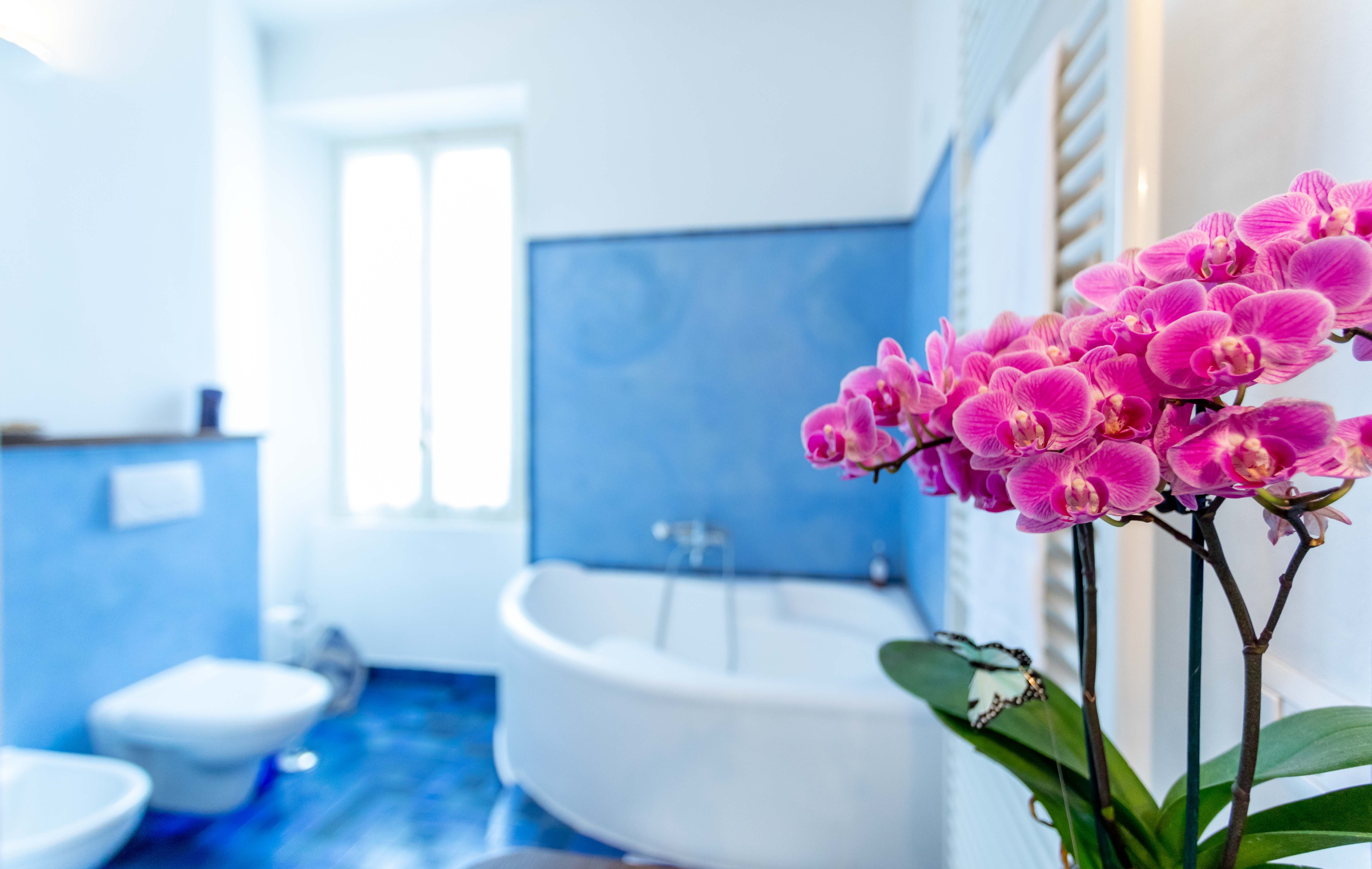 B&B Il Bel Giardinetto-官方