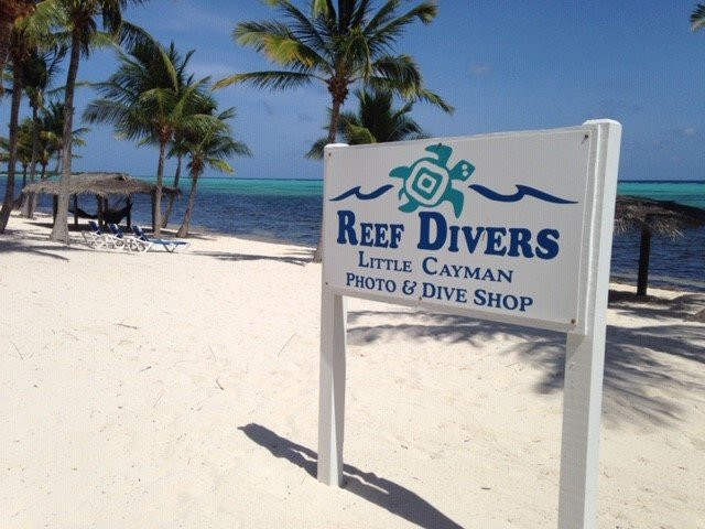 Little Cayman Beach Resort主图
