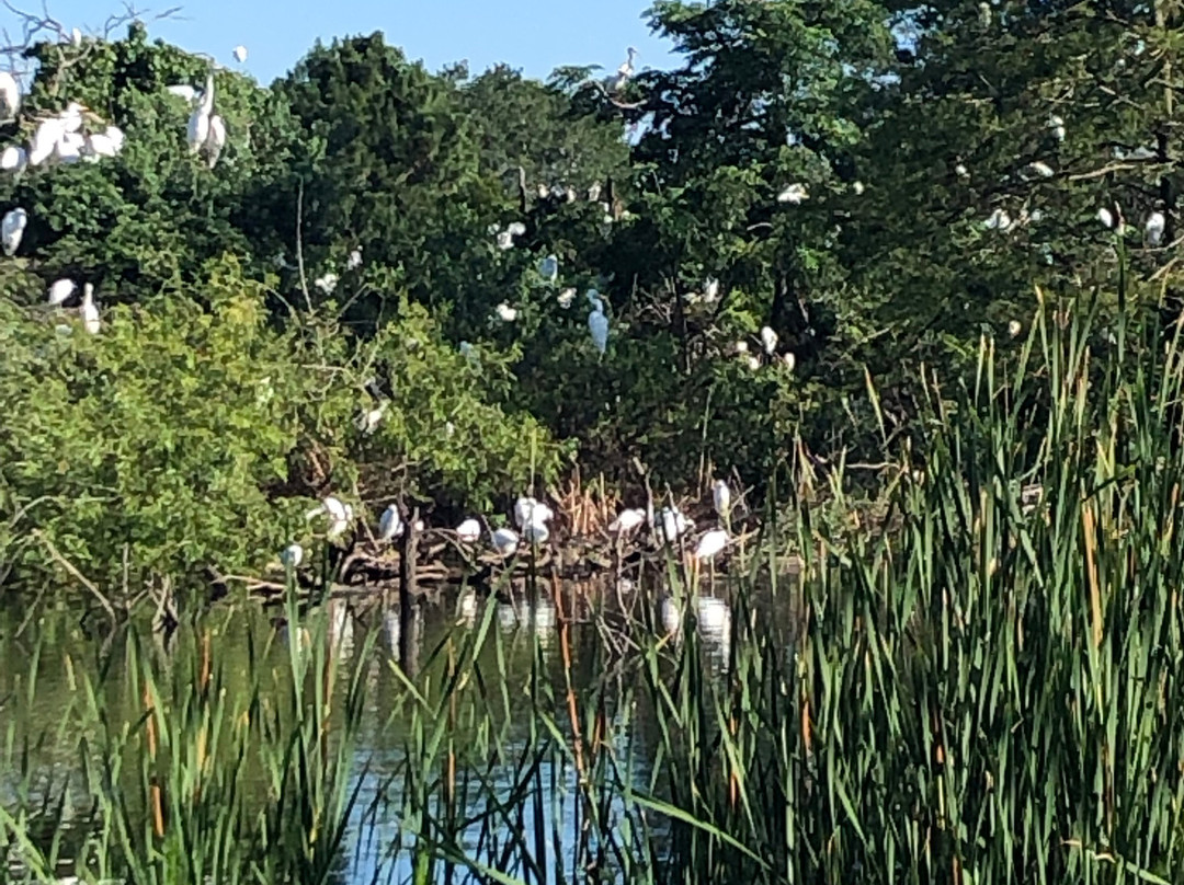 Pinckney Island National Wildlife Refuge-希尔顿头岛必去景点