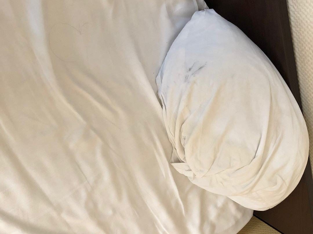 Hotel Rapsodia City Center主图