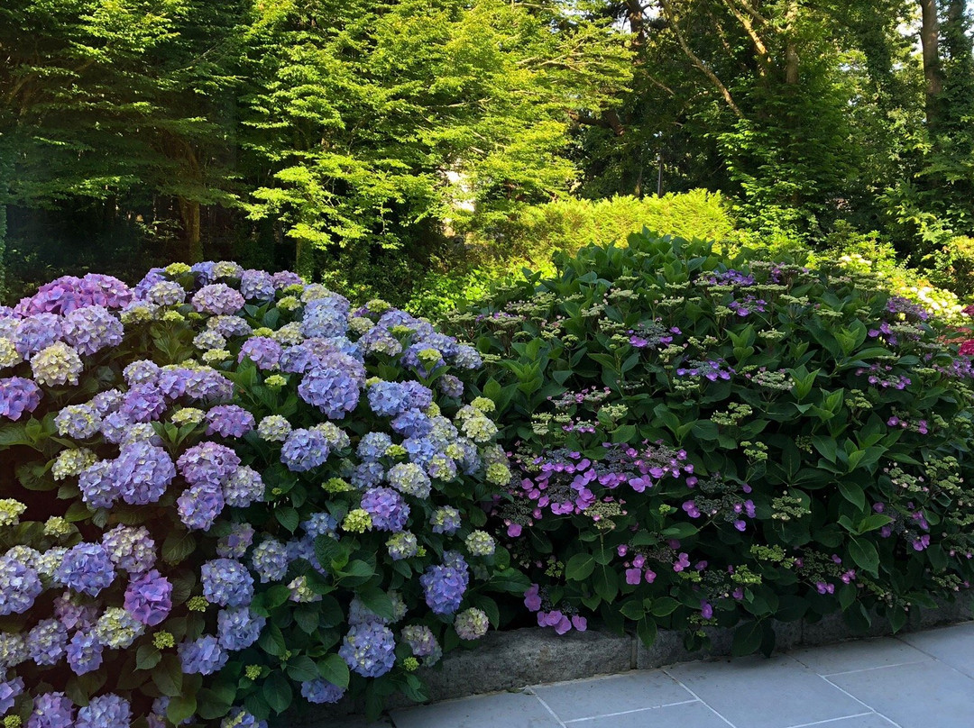 La Villa les Hortensias主图