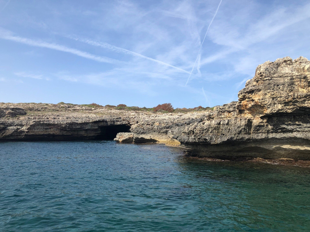 Bogaboga Menorca Experiences景点图片