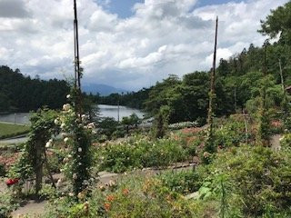 Higashizawa Rose Park景点图片