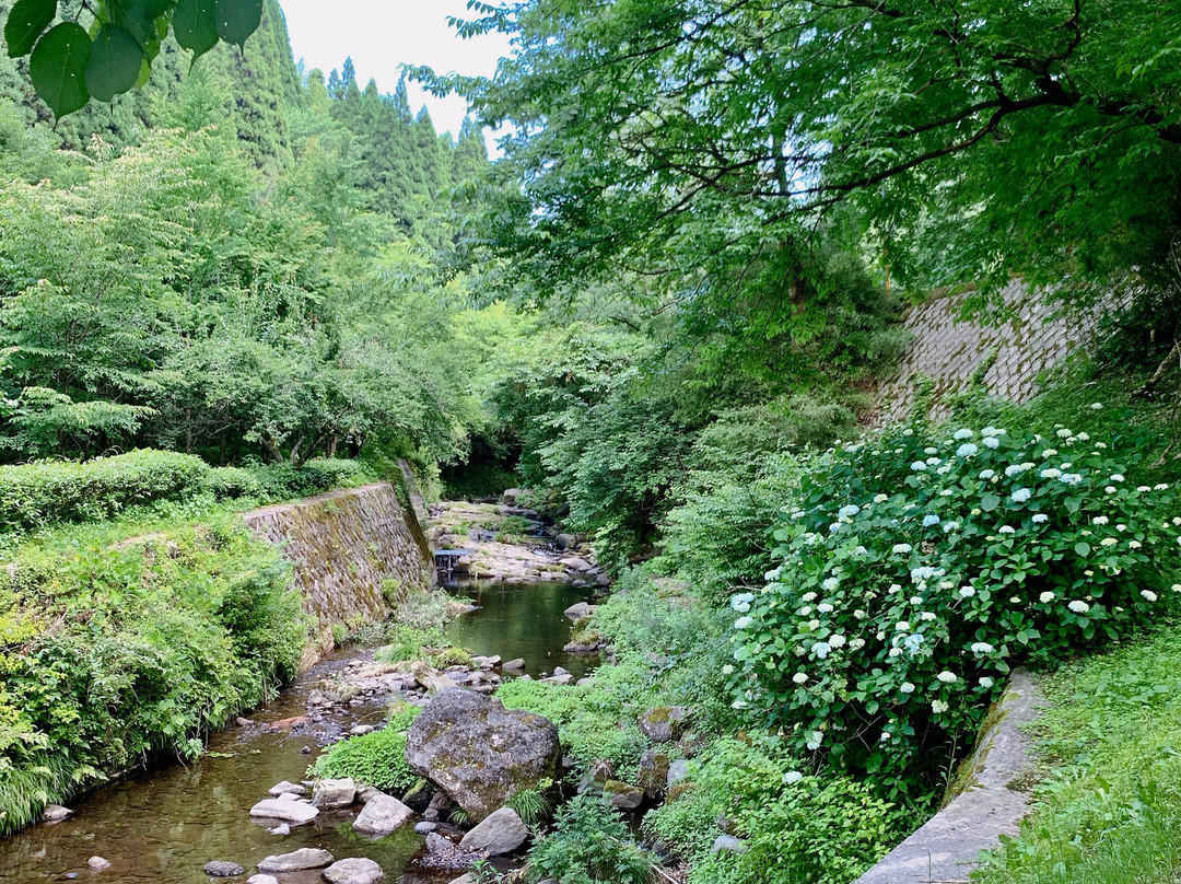 Tateiwa Suigen Park景点图片