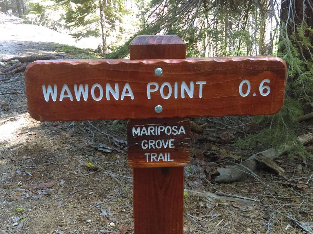 Wawona Point-优胜美地国家公园必去景点