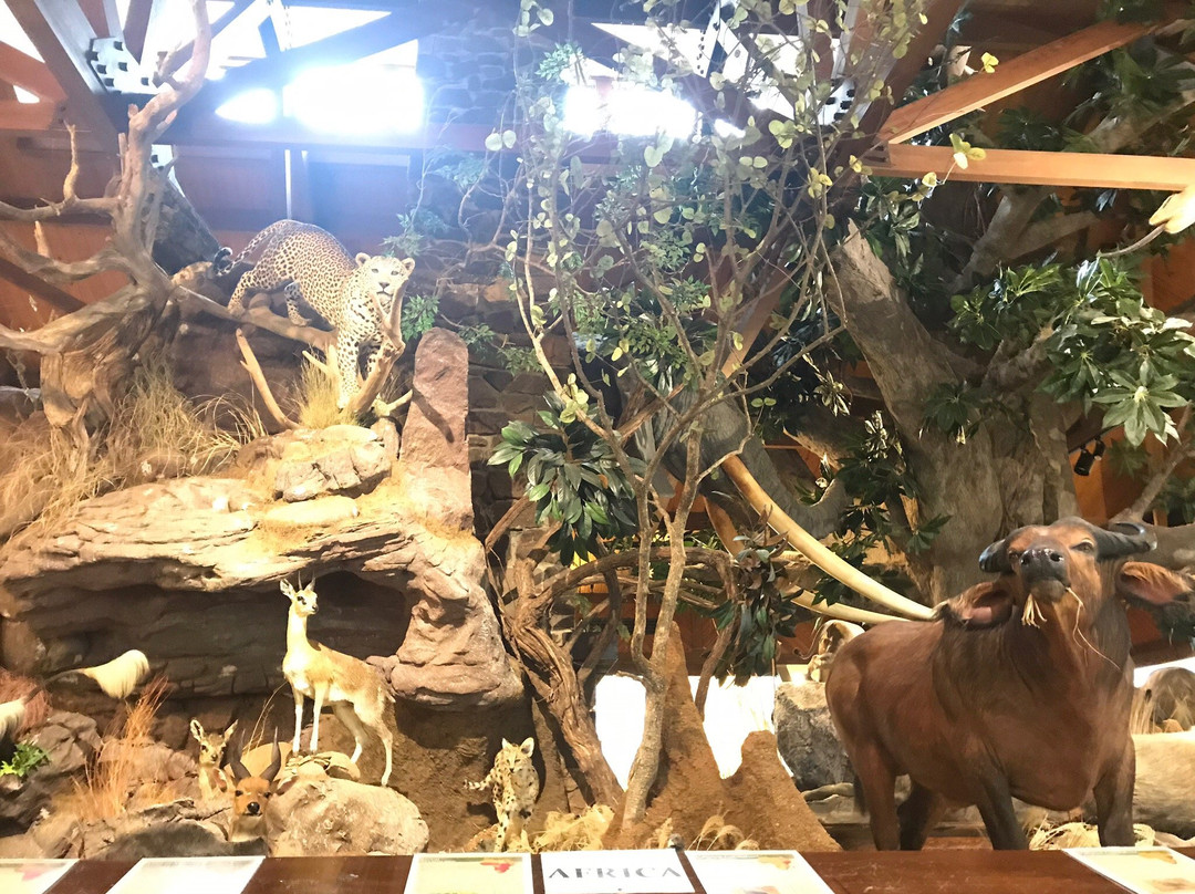 Harber Wildlife Museum-Sherman必去景点