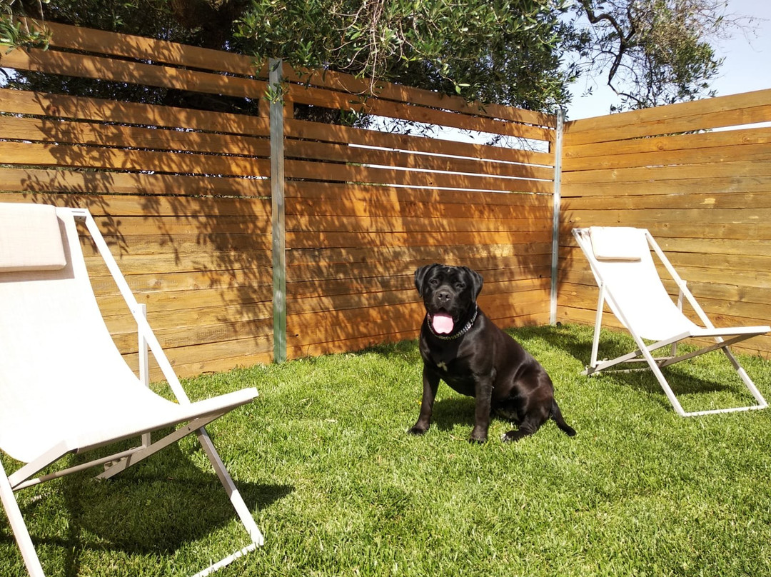 Giardino Del Tempo主图