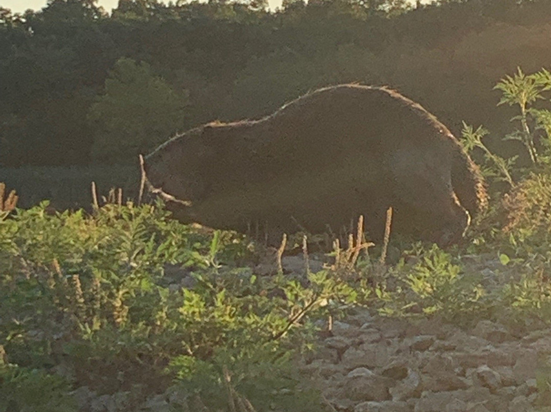 Raymond Gary State Park-Fort Towson必去景点