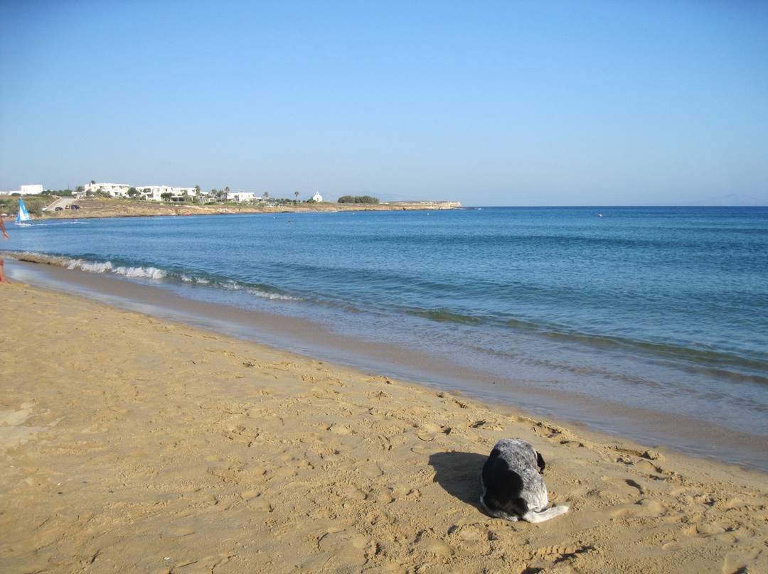 Amaryllis Beach Hotel主图