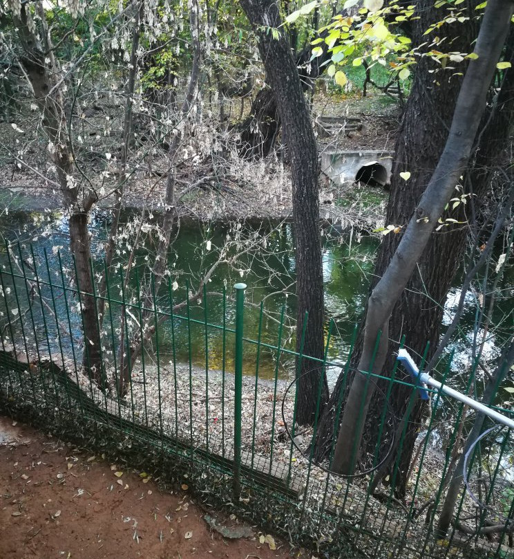 On Golden Pond Guesthouse主图