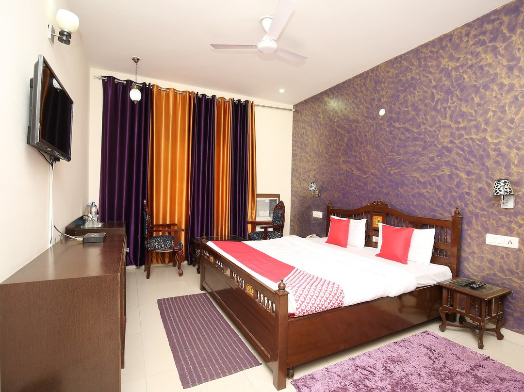 Treebo the Baghban主图