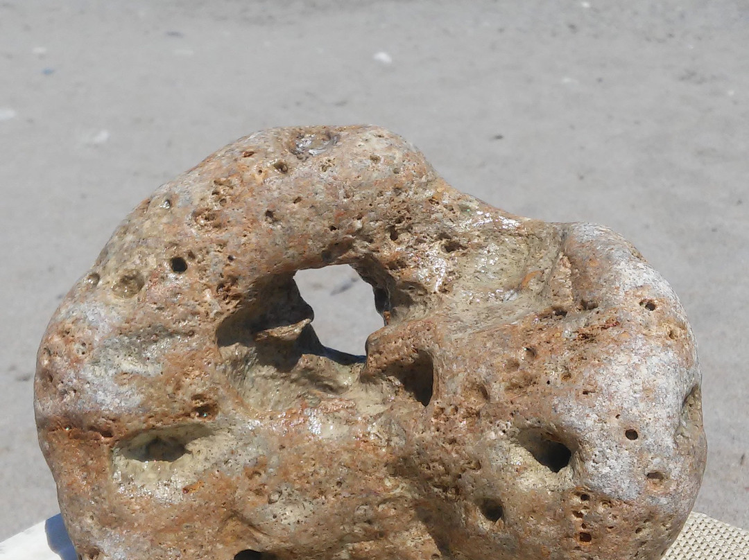 Dimitrios Beach Hotel主图