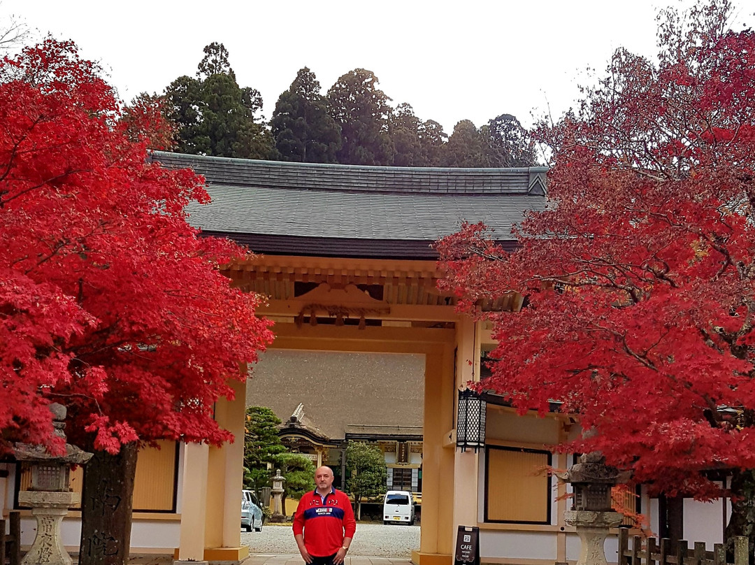 Sainai-in Temple-高野町必去景点