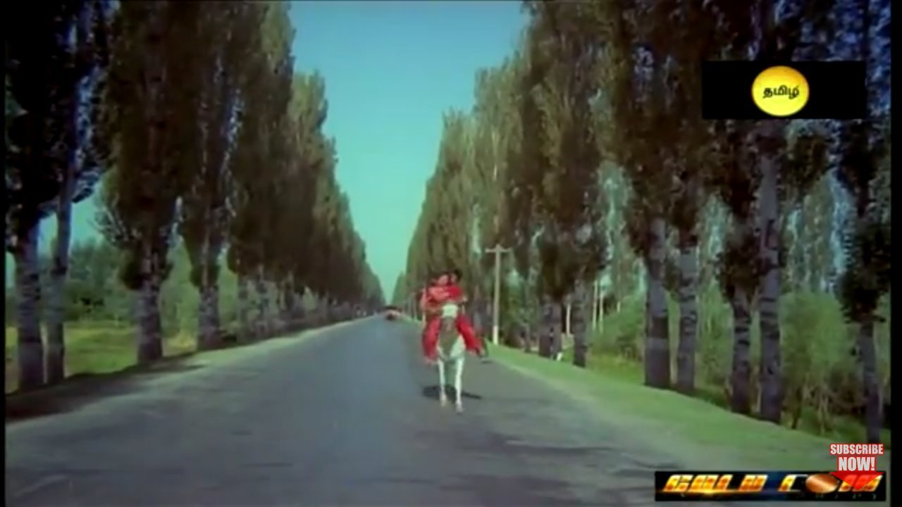 卡瓦亚南度假村-官方