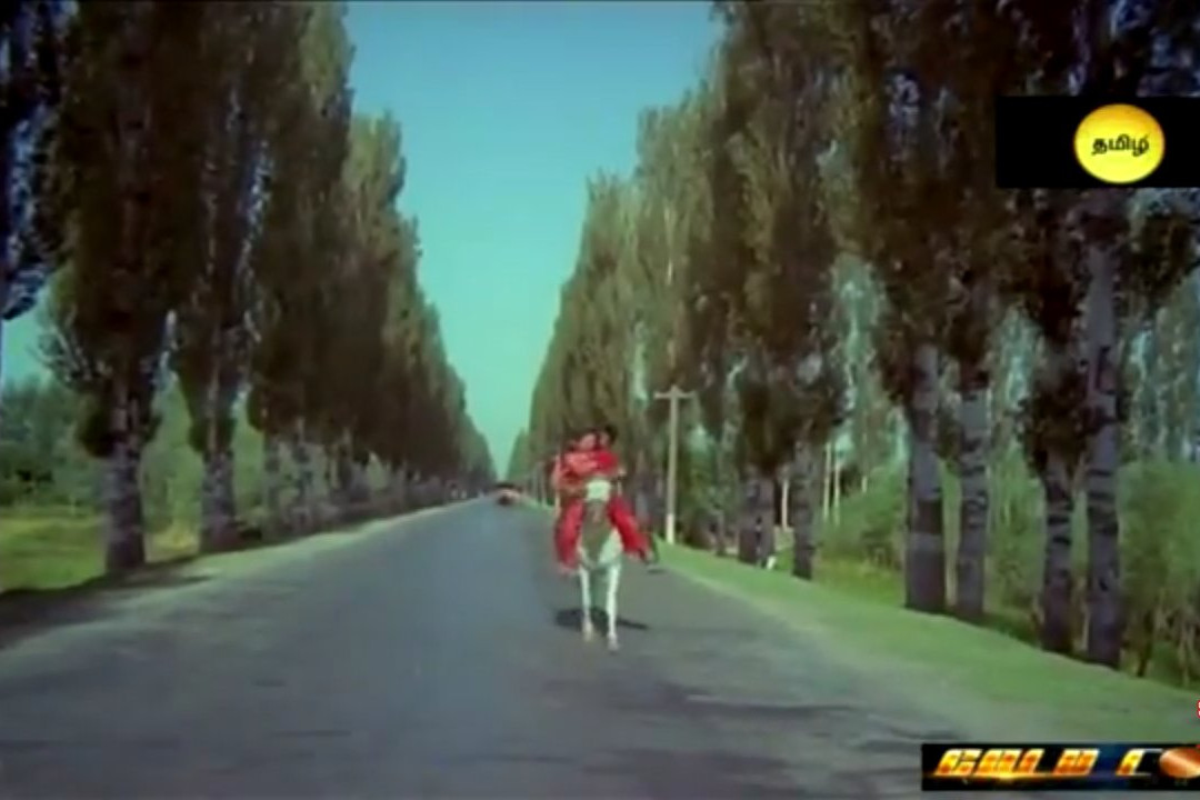 卡瓦亚南度假村主图