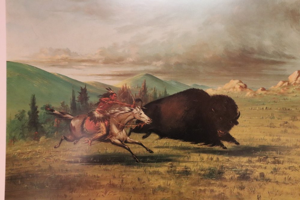 National Buffalo Museum景点图片