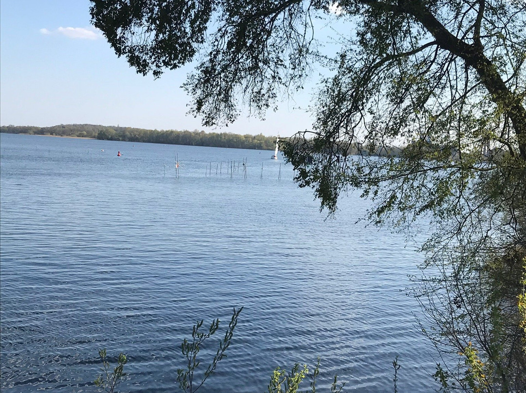 Schloss Plaue GmbH主图