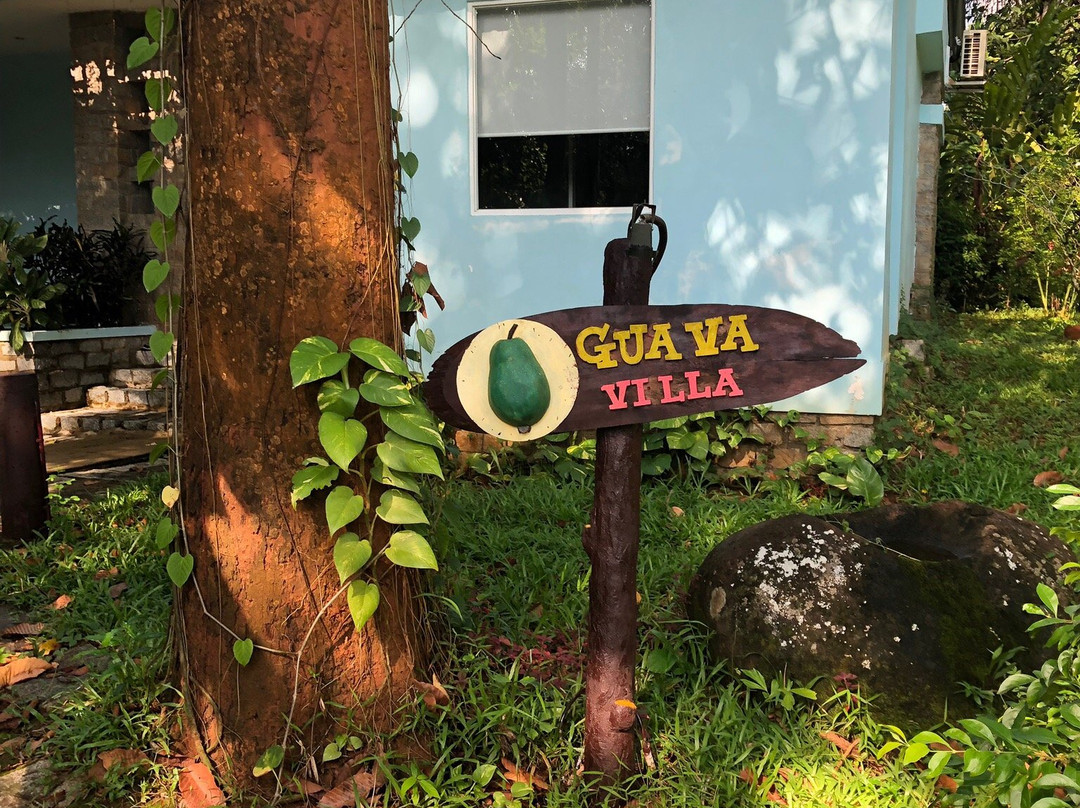 Madagui Forest City-Madagui Town必去景点