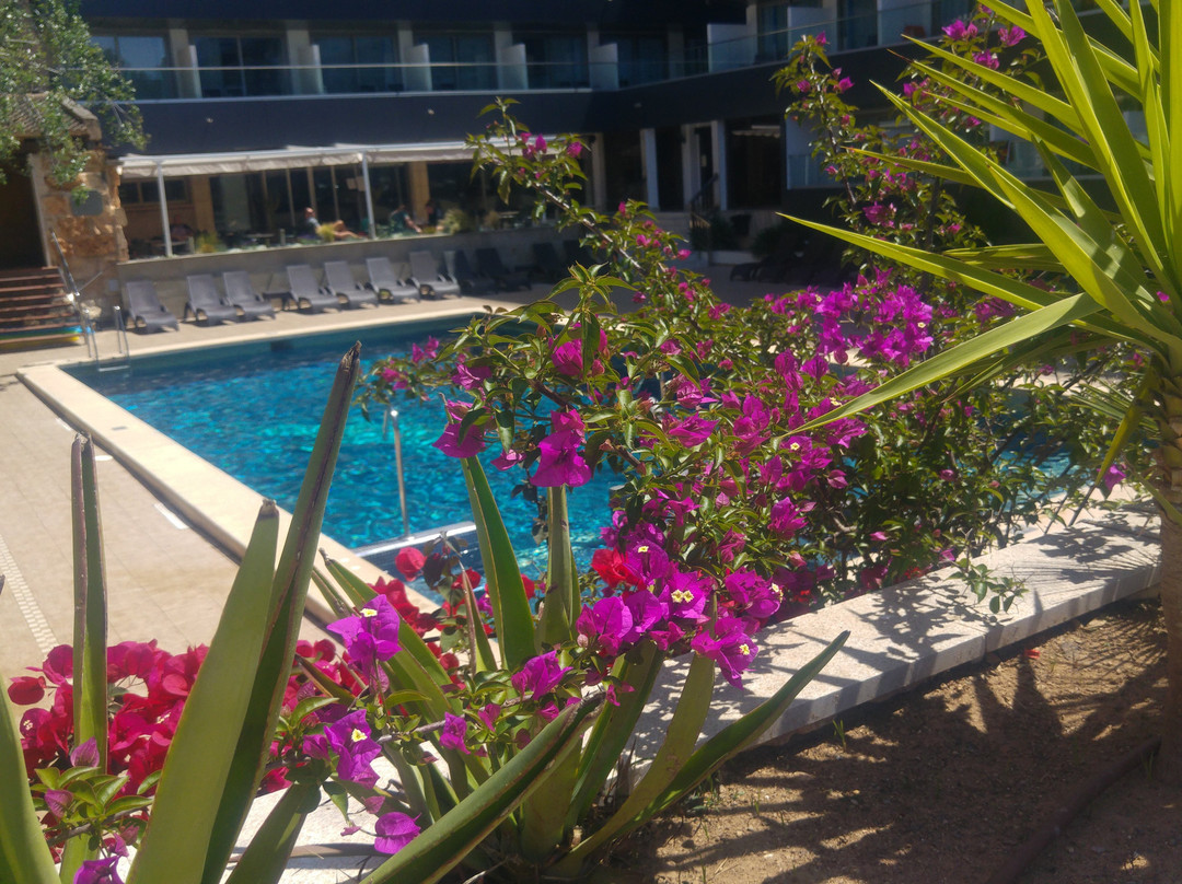 Hotel Ipanema Beach主图