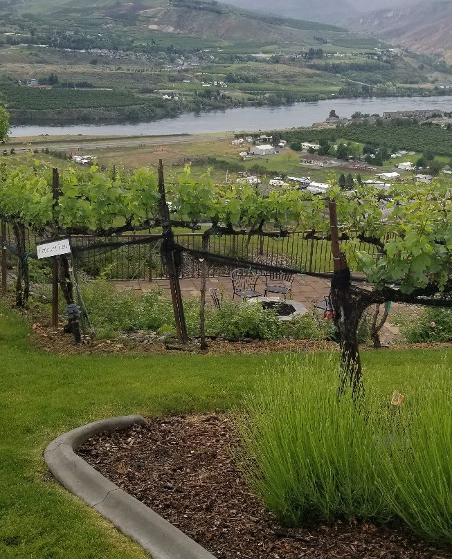 Martin Scott Winery景点图片