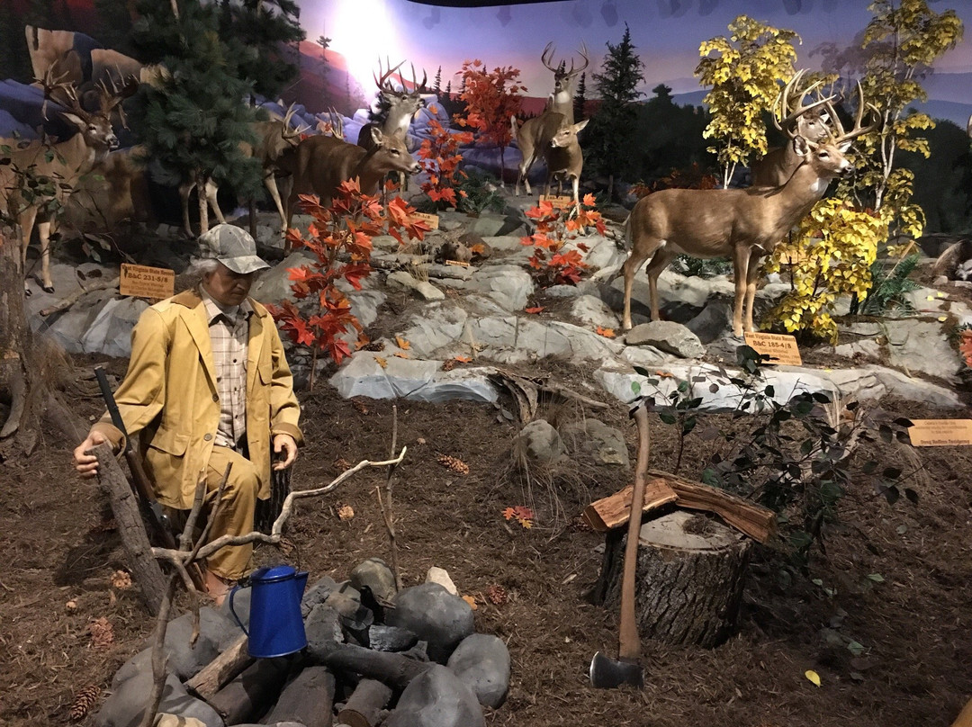 Cabela's景点图片