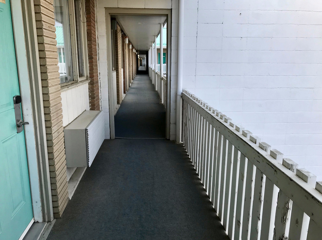 Tel Star Motel主图