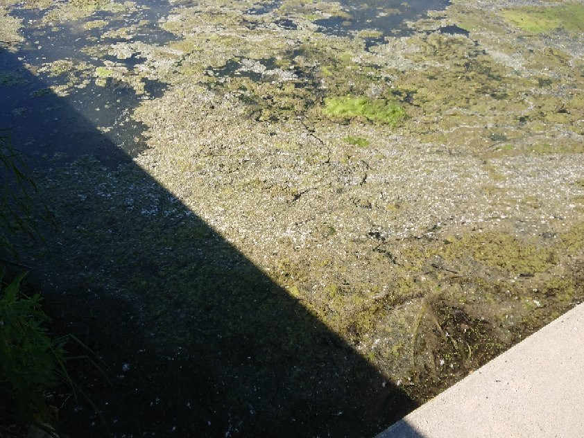 Lac de Vesoul-Vaivre-Vesoul必去景点
