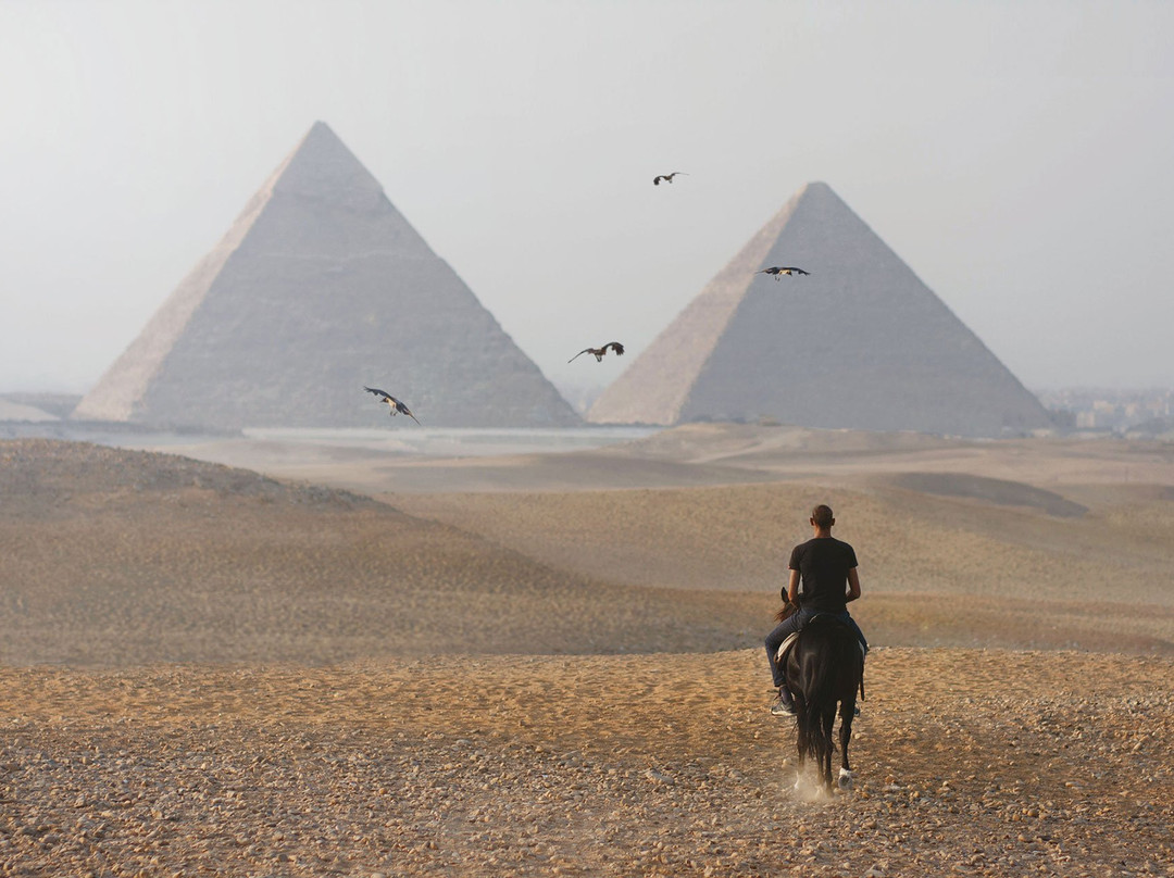 Cairo Horse Riding School-吉萨必去景点