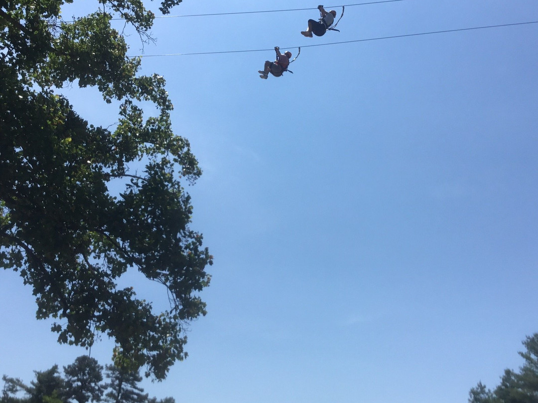 Asheville Zipline Canopy Adventures景点图片