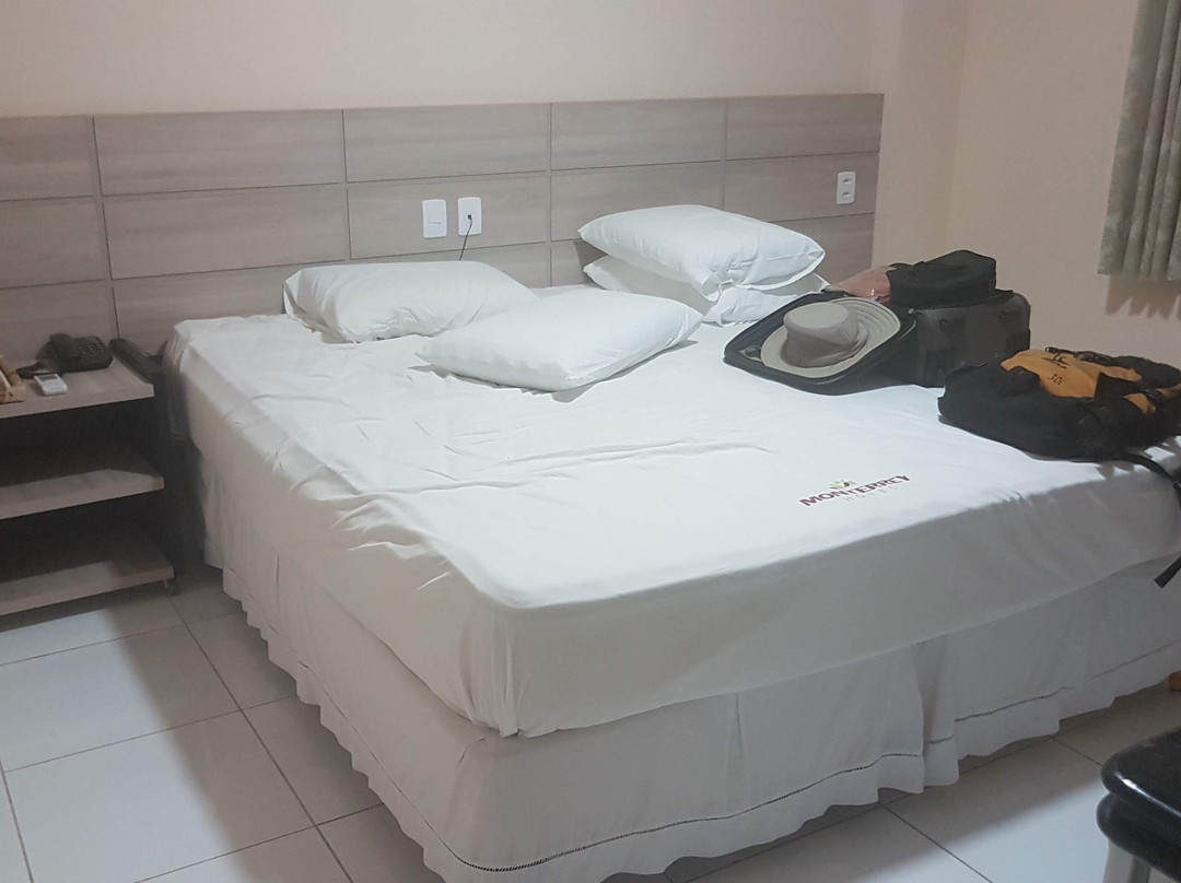 Monterrey Hotel主图